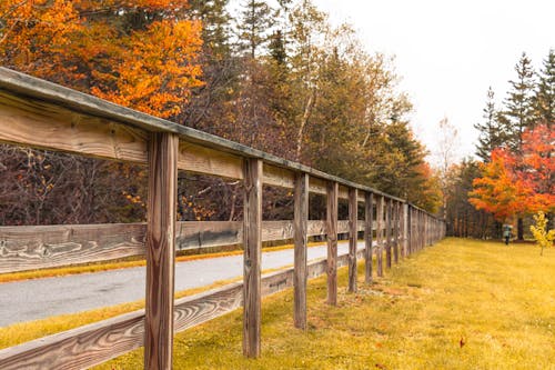 Free Wooden Fence and Colorful Forest in Autumn Stock Photo