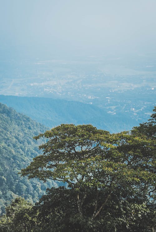 Kostenloses Stock Foto zu aussicht, bäume, berg