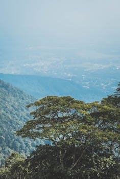 Image by Hiep Nguyen