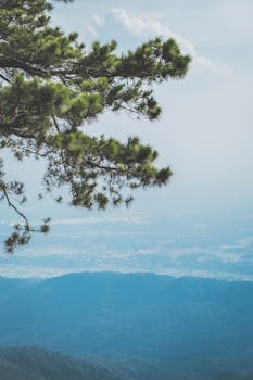 Image by Hiep Nguyen