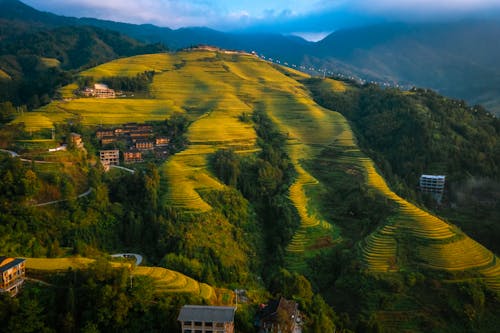 Green Fields on Hills in Countryside