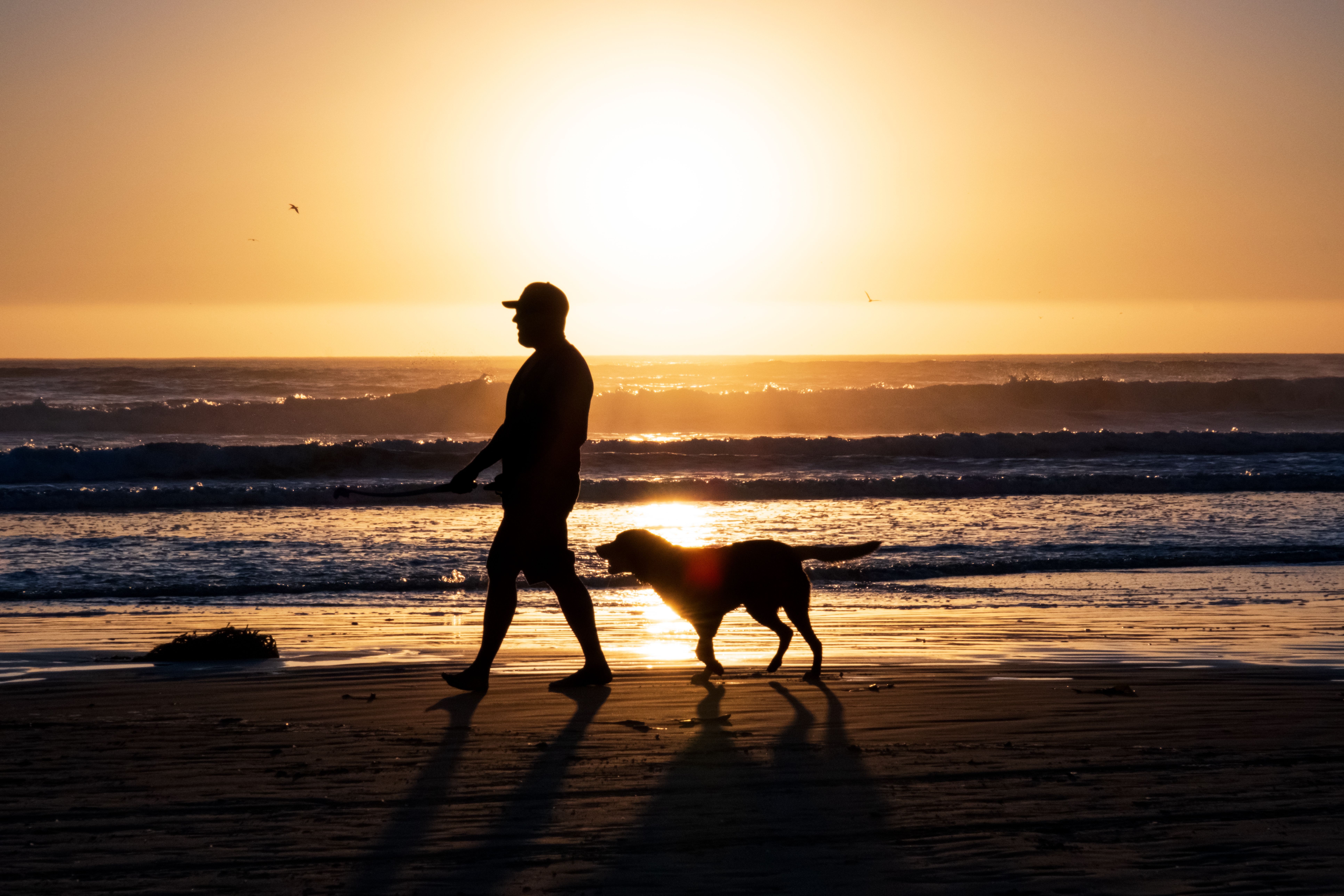 Silhouette of a man walking a dog by the ocean at sunset on Pismo Beach, CA.