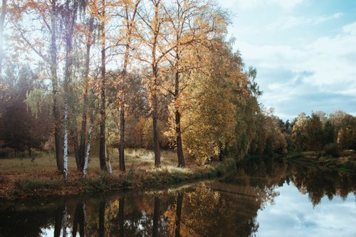 Free Serene autumn scene of a river reflecting golden trees, perfect for a tranquil nature backdrop. Stock Photo