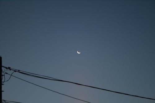 Free stock photo of moon