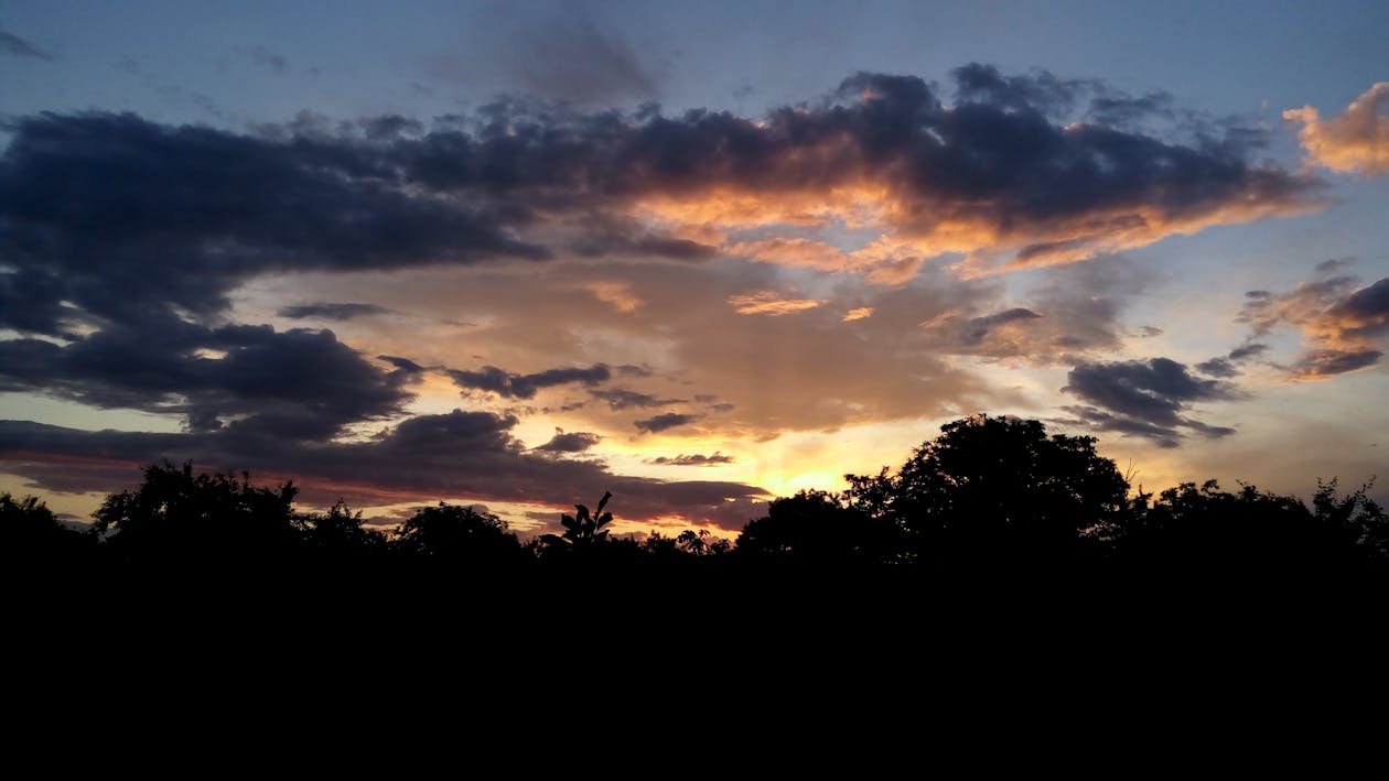 免費 在日落的多雲的天空下的黑森林 圖庫相片