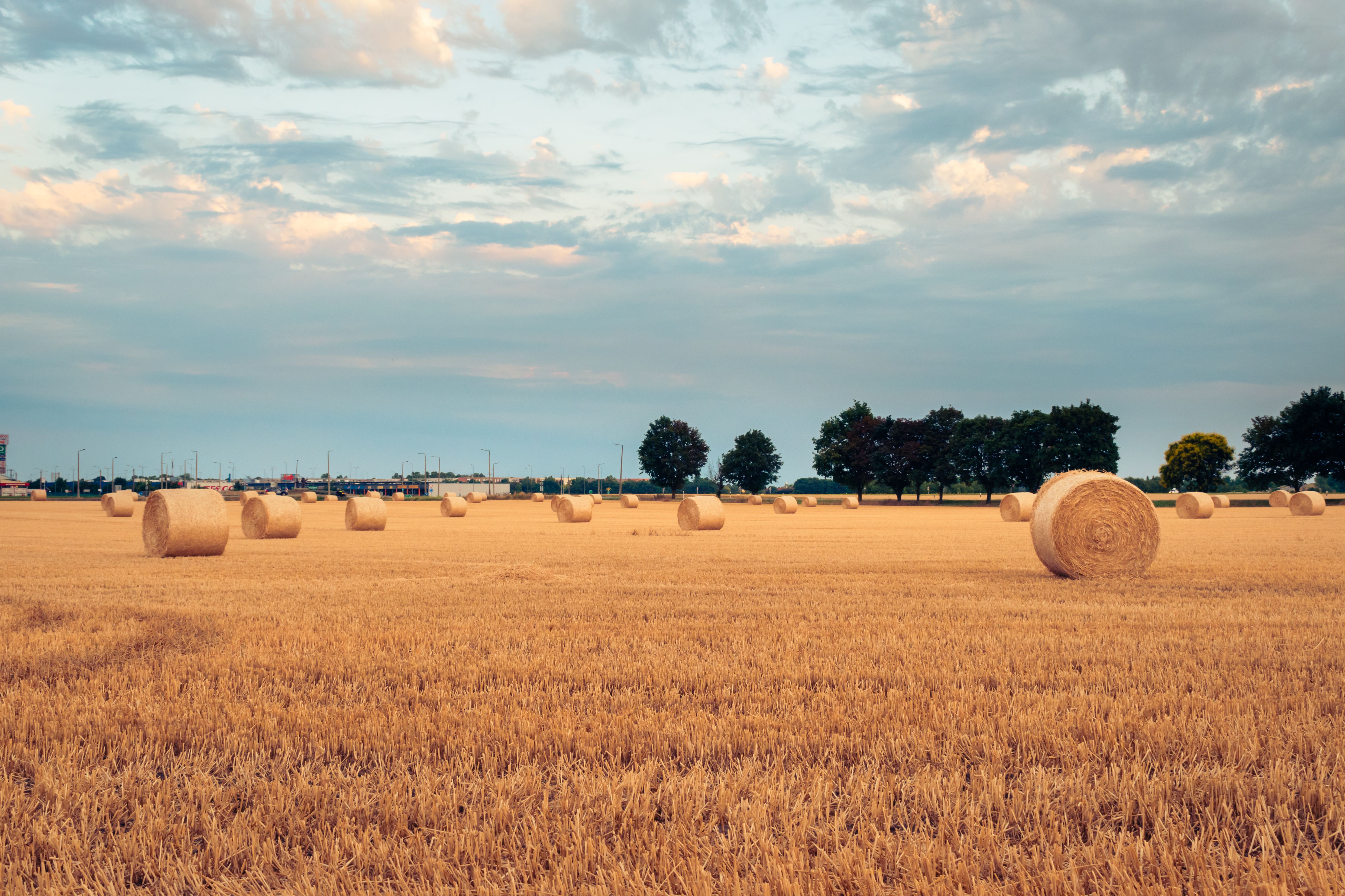 Hay bales in a field under a cloudy sky · Free Stock Photo