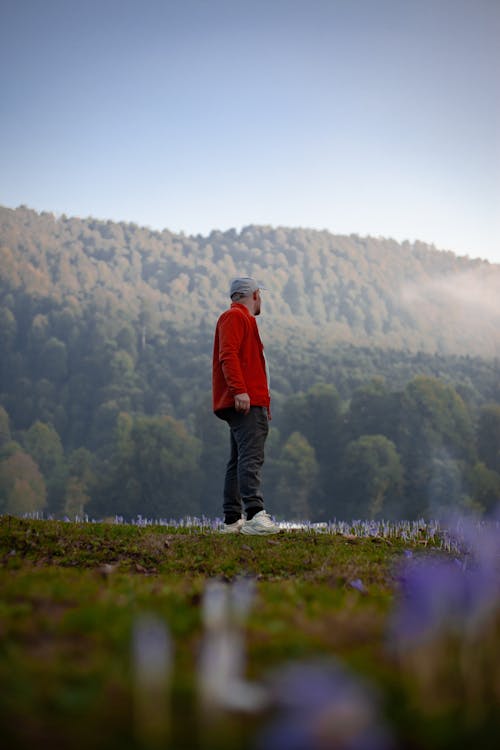 Imagine de stoc gratuită din capac, flori, fotografiere verticală