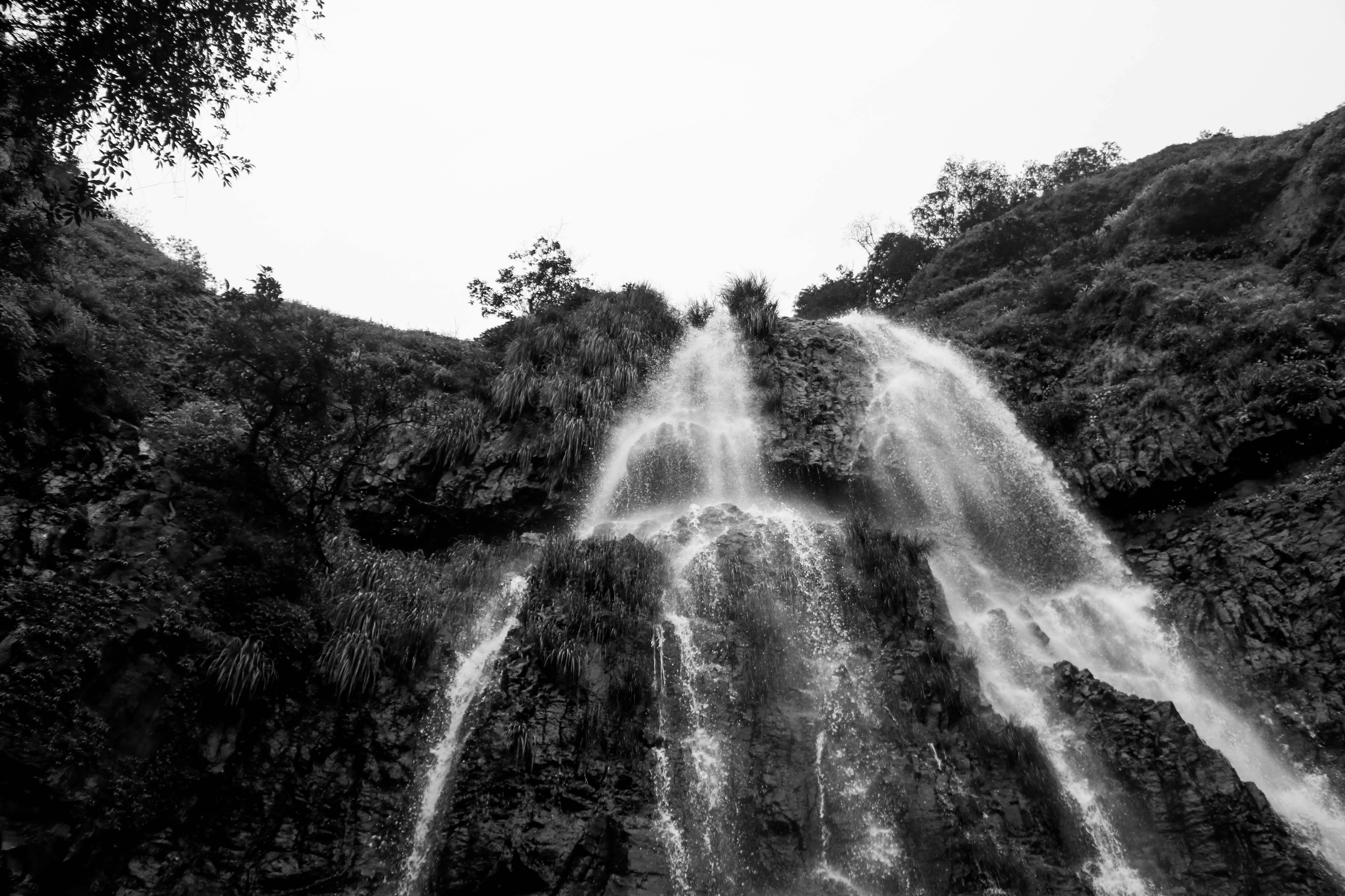 Free Stock Photo Of Background Black And White Nature