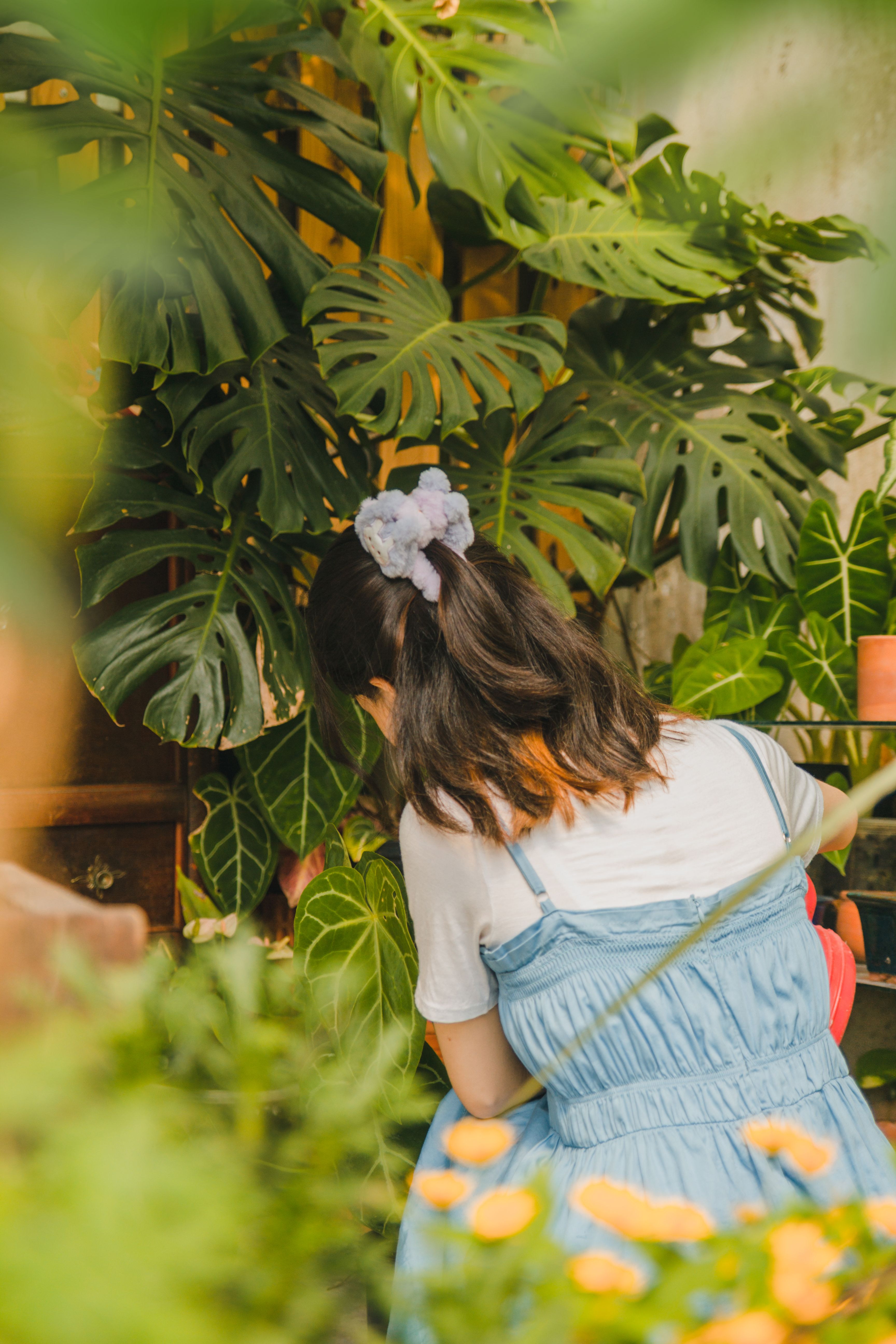 Young Woman Watering the Plants  Free Stock Photo