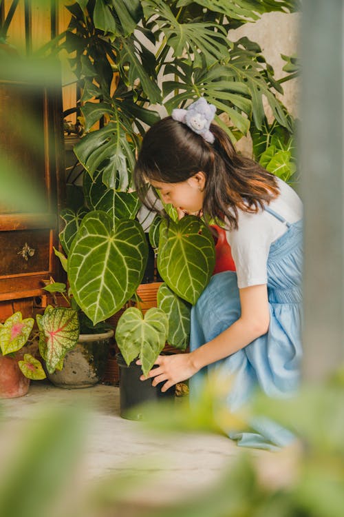 Woman Repotting a Plant 