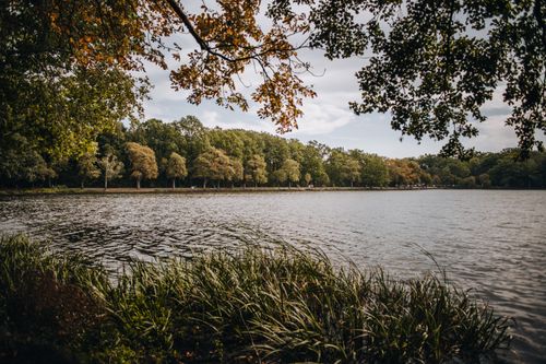 Kralingse Bos park Rotterdam