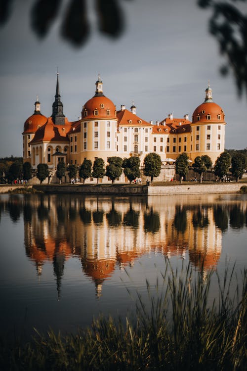 Fotos de stock gratuitas de Alemania, arboles, castillo de moritzburg