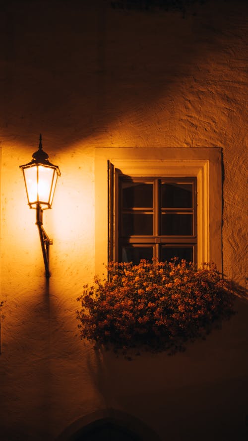 Street Lamp Light near Flowers and Window