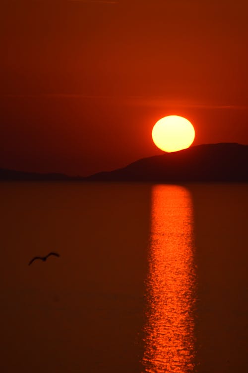 Foto profissional grátis de baía, céu com cores intensas, luz do sol