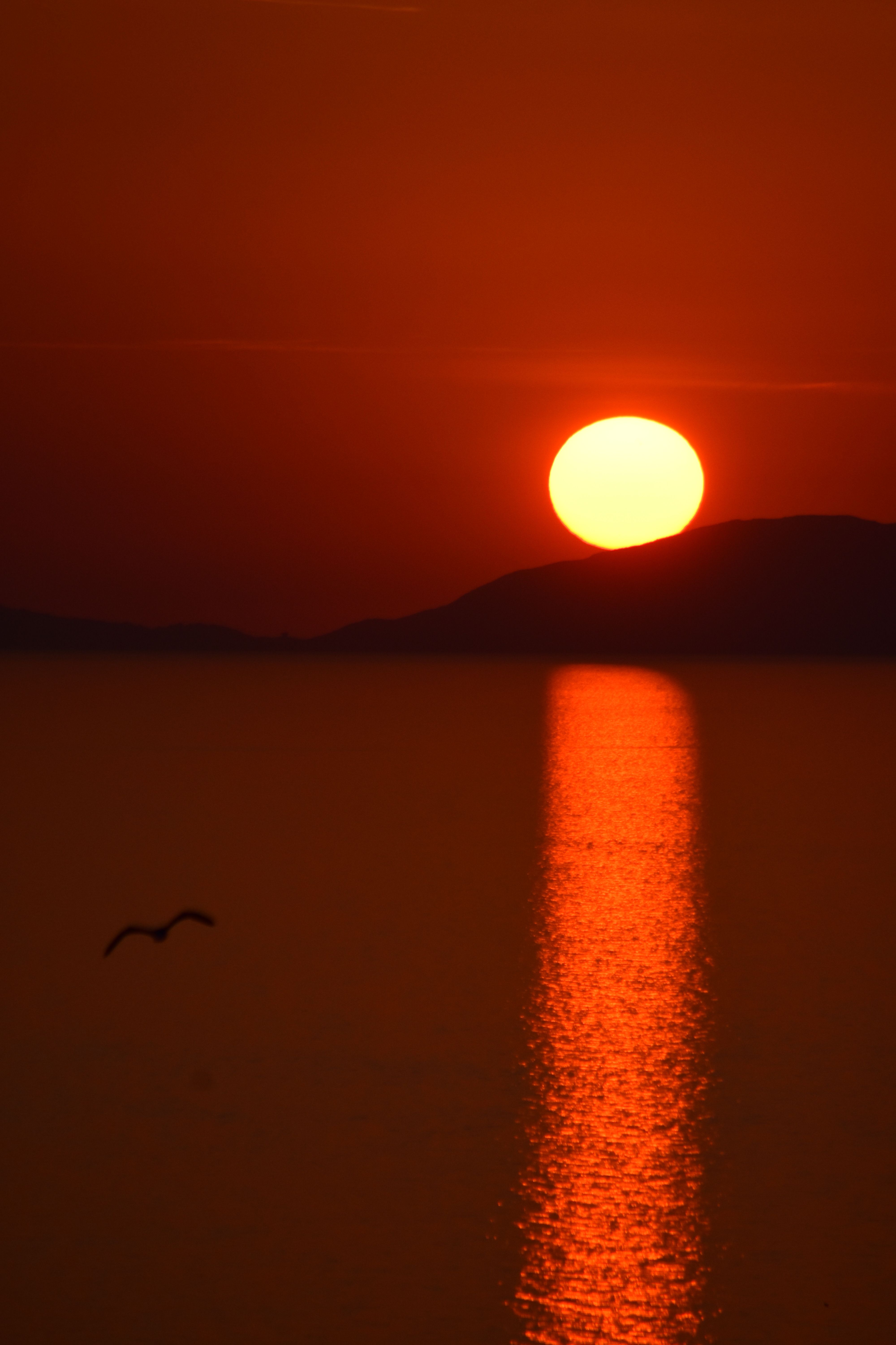 Sun in Red Sky · Free Stock Photo
