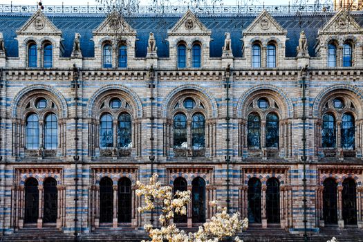 Detailed view of the historic facade of the Natural History Museum in London.
