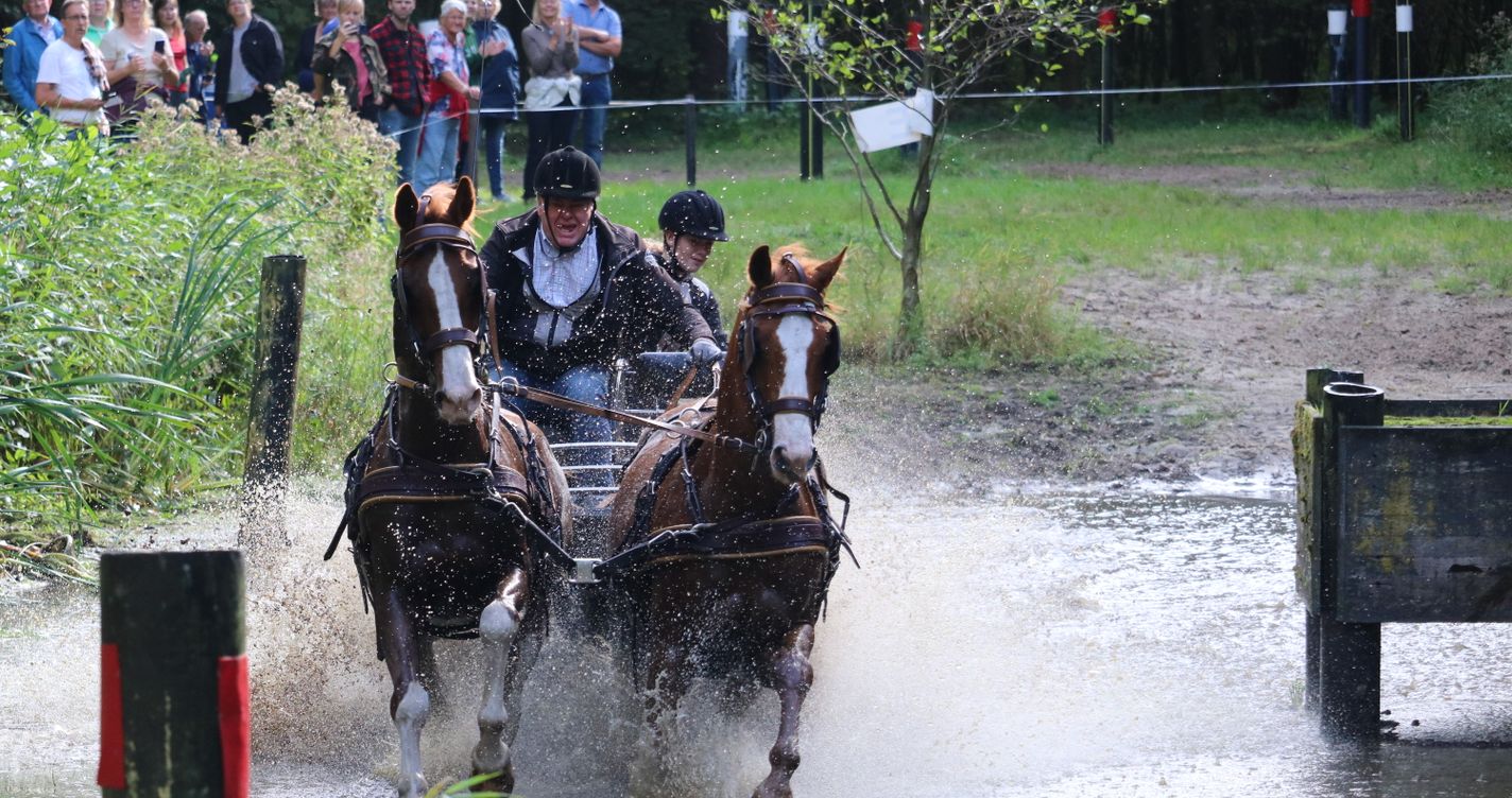 Attelage de course hippique projetant de l'eau en traversant une piste détrempée, illustrant un terrain lourd