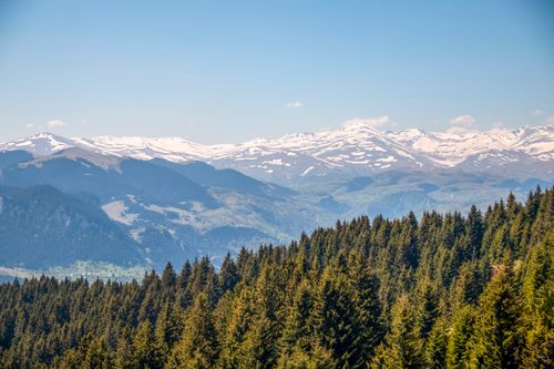 Free Snow-capped peaks and lush pine forests under clear skies in Giresun, Türkiye. Stock Photo