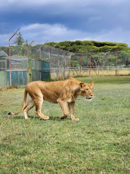  ChatGPT Ngaca - ngaca 2