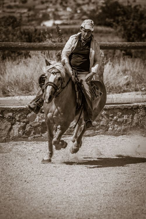 Free A man skillfully rides a horse outdoors in a sepia-toned photograph, evoking a classic equestrian feel. Stock Photo