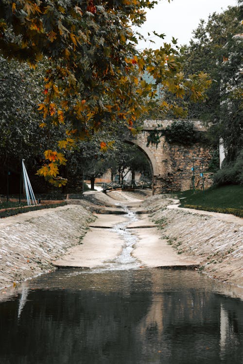 Shallow River in Park in Town