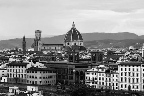 Fotos de stock gratuitas de blanco y negro, bóveda, catedral