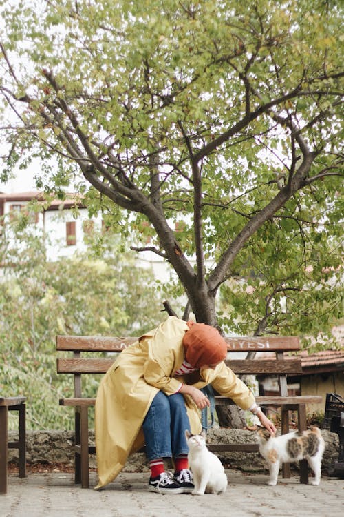 Woman in Hijab and Trench Coat Sitting in Park and Patting Cats