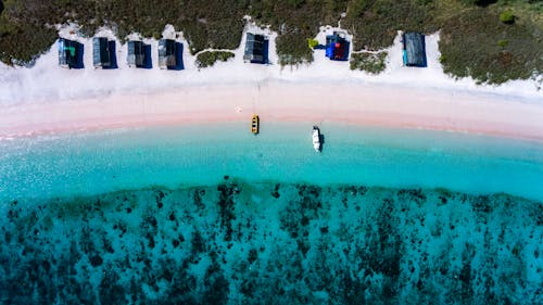 Kostenloses Stock Foto zu bäume, boote, dockt