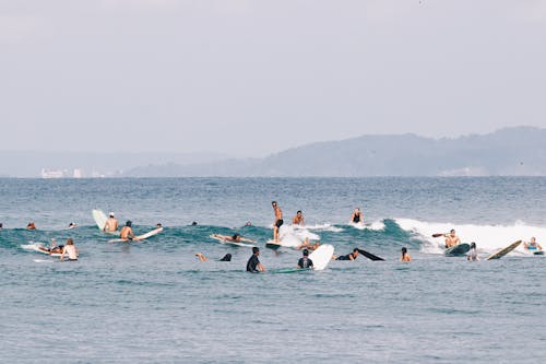 A Group of People Surfing near the Shore 