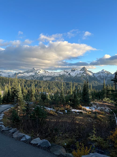 Kostenloses Stock Foto zu berge, drehung, führend