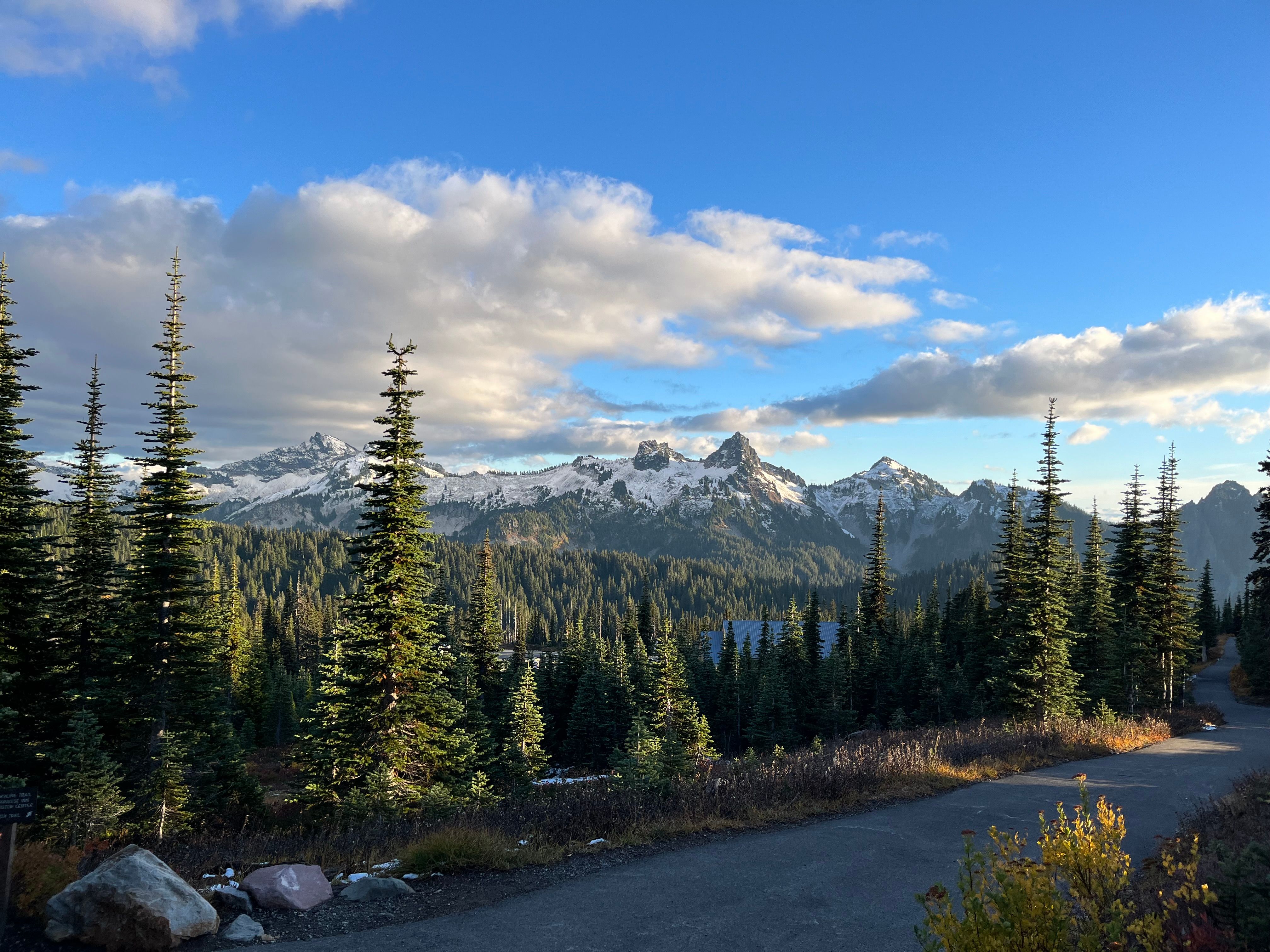 Scenic Mountain Forest Landscape with Snow Peaks · Free Stock Photo