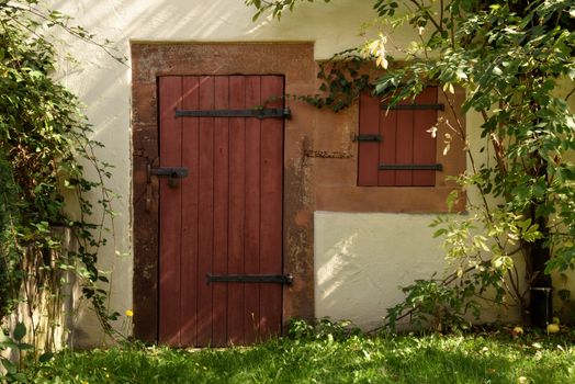 A rustic wooden door and shutter surrounded by ivy and sunlight in a charming, lush garden setting.