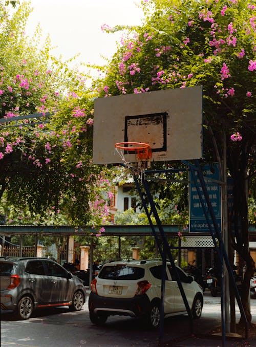 Fotobanka s bezplatnými fotkami na tému autá, basketbalový Kôš, dvor