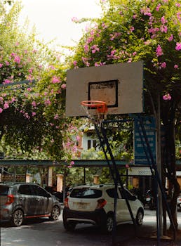 An urban basketball hoop surrounded by pink flowers and parked cars in a sunny courtyard.