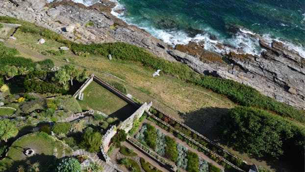 Aerial view of a coastal garden with a seagull flying over rocky shorelines and green landscapes.
