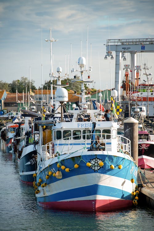 Δωρεάν στοκ φωτογραφιών με αγκυροβολημένος, αλιευτικό σκάφος, βάρκες