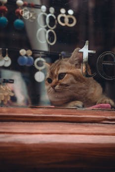 A curious cat peeks through a window with hanging earrings, adding charm to the scene.