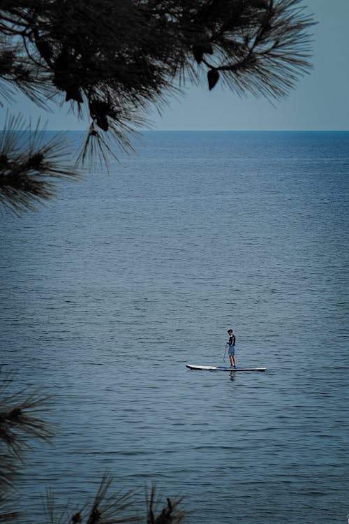 View of a Person Paddleboarding near a Shore 