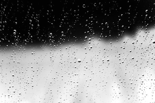 Darmowe zdjęcie z galerii z czarno-biały, deszcz, krople deszczu