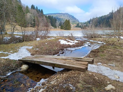 Free Scenic view of a wooden bridge over a stream in La Bresse, France, during early spring. Stock Photo