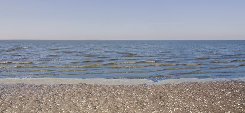 Free stock photo of beach, horizont, landscape