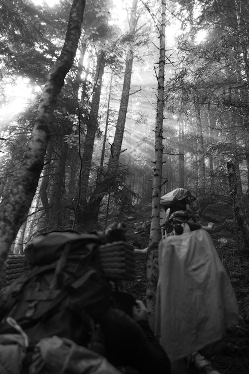 Black and White Photo of People Wearing Raincoats Walking in a Forest