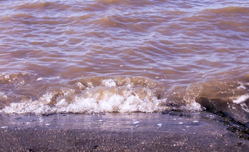 Free stock photo of beach, water