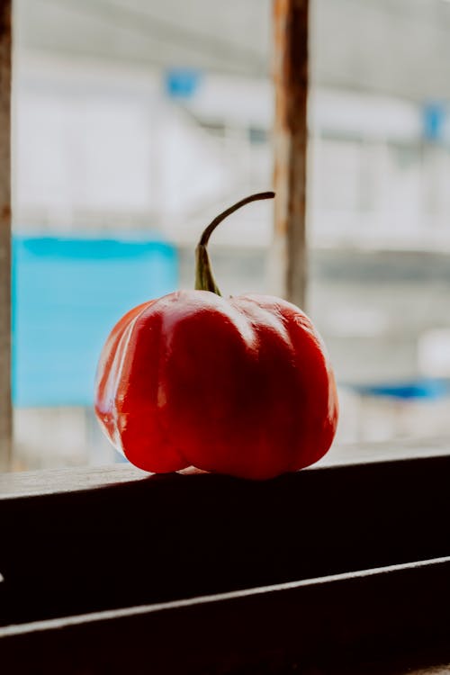 Close-up of a Red Bell Pepper 