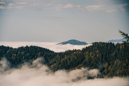 Immagine gratuita di catena montuosa, cielo, foresta