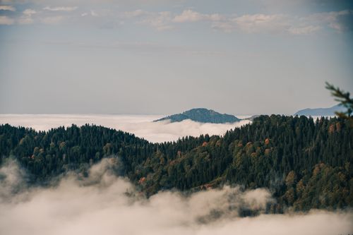 Free Breathtaking view of Rize's forested mountains shrouded in clouds and sky. Stock Photo