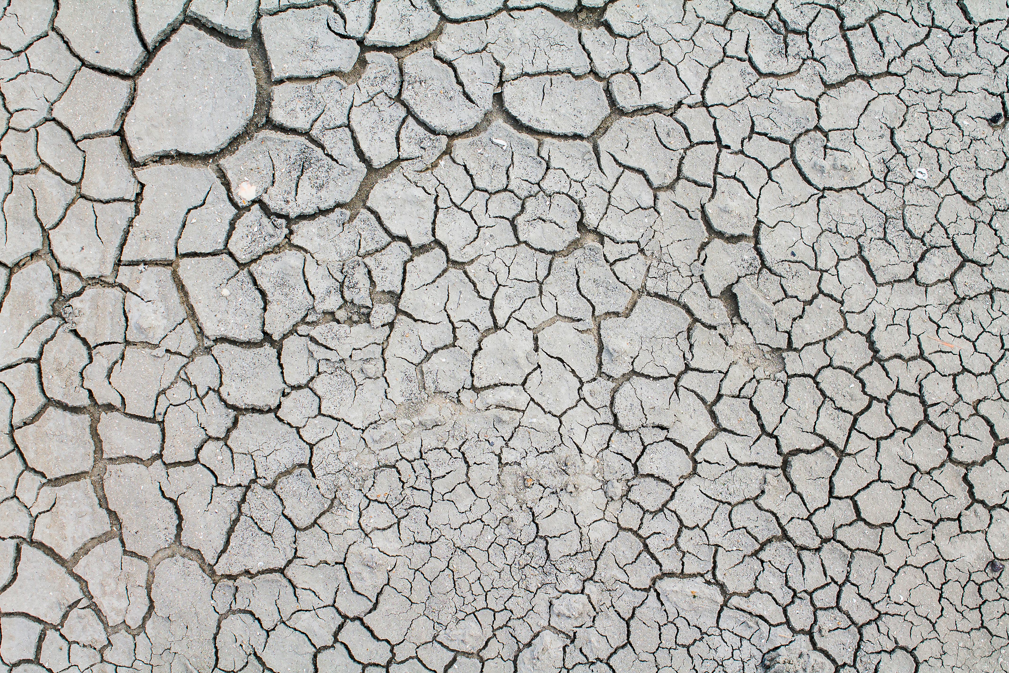 Free stock photo of beach, summer, water