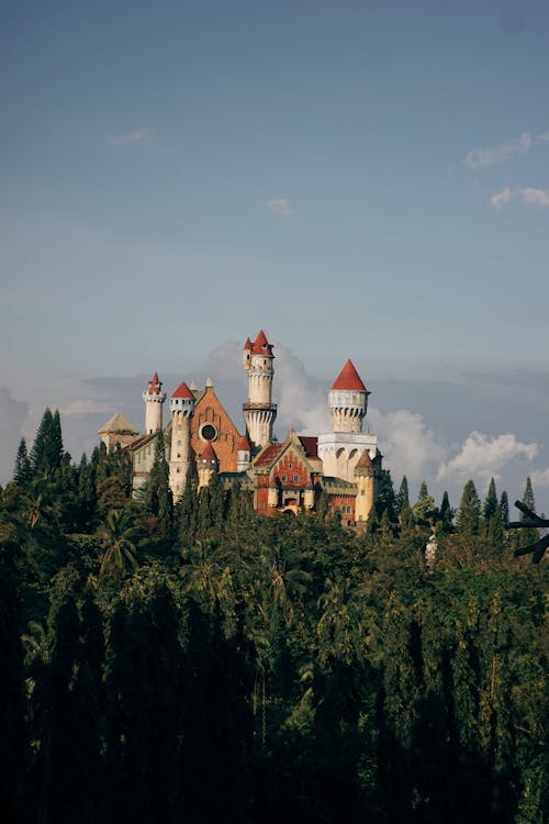 Castle of the Fantasy World Theme Park Surrounded by Forest
