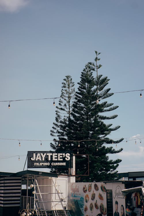 Coniferous Trees Above the Restaurant and Fast Food Van