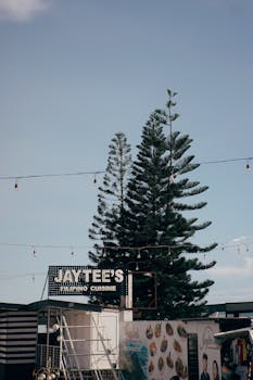 A serene outdoor setting of Jay Tee's Filipino Cuisine with tall pines in the background.